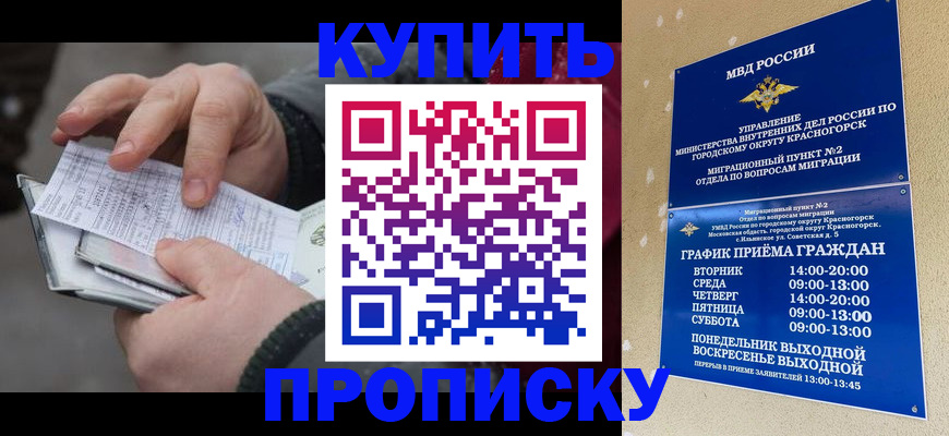 временная регистрация недорого в Калужской области